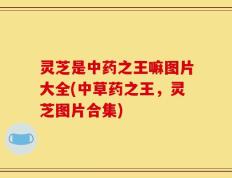 灵芝是中药之王嘛图片大全(中草药之王，灵芝图片合集)