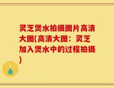 灵芝煲水拍摄图片高清大图(高清大图：灵芝加入煲水中的过程拍摄)