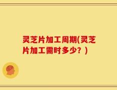 灵芝片加工周期(灵芝片加工需时多少？)