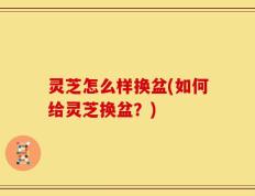 灵芝怎么样换盆(如何给灵芝换盆？)
