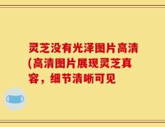 灵芝没有光泽图片高清(高清图片展现灵芝真容，细节清晰可见