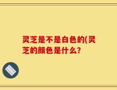 灵芝是不是白色的(灵芝的颜色是什么？