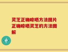 灵芝正确晾晒方法图片正确晾晒灵芝的方法图解