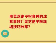 用灵芝孢子粉育种的注意事项？灵芝孢子粉栽培技巧分享？