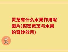 灵芝有什么水果作用呢图片(探密灵芝与水果的奇妙效用)