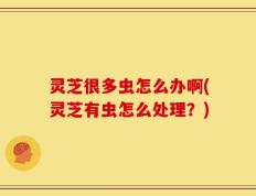 灵芝很多虫怎么办啊(灵芝有虫怎么处理？)