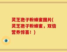 灵芝孢子粉蜂蜜图片(灵芝孢子粉蜂蜜，双倍营养惊喜！)