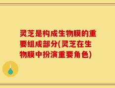 灵芝是构成生物膜的重要组成部分(灵芝在生物膜中扮演重要角色)