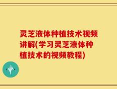 灵芝液体种植技术视频讲解(学习灵芝液体种植技术的视频教程)