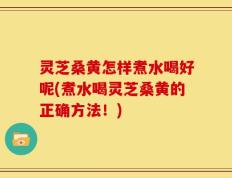 灵芝桑黄怎样煮水喝好呢(煮水喝灵芝桑黄的正确方法！)