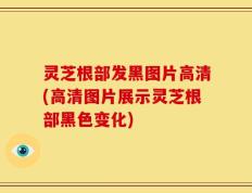 灵芝根部发黑图片高清(高清图片展示灵芝根部黑色变化)