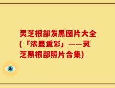 灵芝根部发黑图片大全(「浓墨重彩」——灵芝黑根部照片合集)