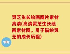 灵芝生长绘画图片素材高清(高清灵芝生长绘画素材图，用于描绘灵芝的成长历程)