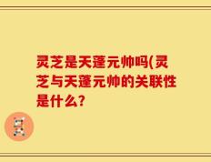 灵芝是天蓬元帅吗(灵芝与天蓬元帅的关联性是什么？