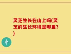 灵芝生长在山上吗(灵芝的生长环境是哪里？)