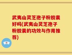 武夷山灵芝孢子粉胶囊好吗(武夷山灵芝孢子粉胶囊的功效与作用推荐)