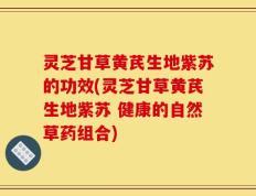 灵芝甘草黄芪生地紫苏的功效(灵芝甘草黄芪生地紫苏 健康的自然草药组合)