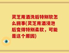灵芝用酒洗后特别软怎么回事(灵芝用酒浸泡后变得特别柔软，可能是这个原因)