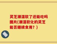 灵芝潮湿软了还能吃吗图片(潮湿软化的灵芝能否继续食用？)
