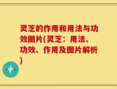 灵芝的作用和用法与功效图片(灵芝：用法、功效、作用及图片解析)