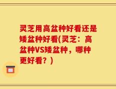 灵芝用高盆种好看还是矮盆种好看(灵芝：高盆种VS矮盆种，哪种更好看？)