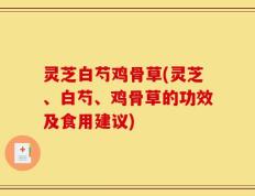 灵芝白芍鸡骨草(灵芝、白芍、鸡骨草的功效及食用建议)