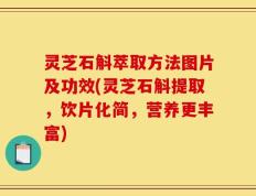灵芝石斛萃取方法图片及功效(灵芝石斛提取，饮片化简，营养更丰富)