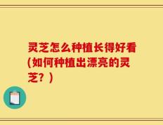 灵芝怎么种植长得好看(如何种植出漂亮的灵芝？)