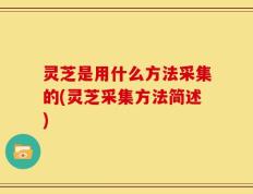 灵芝是用什么方法采集的(灵芝采集方法简述)