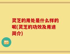 灵芝的用处是什么样的呢(灵芝的功效及用途简介)