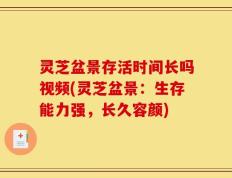 灵芝盆景存活时间长吗视频(灵芝盆景：生存能力强，长久容颜)