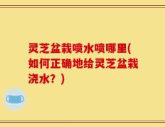 灵芝盆栽喷水喷哪里(如何正确地给灵芝盆栽浇水？)