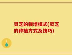 灵芝的栽培模式(灵芝的种植方式及技巧)