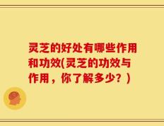 灵芝的好处有哪些作用和功效(灵芝的功效与作用，你了解多少？)