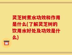 灵芝树煮水功效和作用是什么(了解灵芝树的饮用水好处及功效是什么)