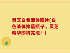 灵芝白色液体图片(白色液体掉落瓶子，灵芝精华即将完成！)