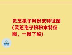 灵芝孢子粉粉末特征图(灵芝孢子粉粉末特征图，一图了解)
