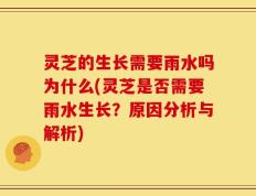 灵芝的生长需要雨水吗为什么(灵芝是否需要雨水生长？原因分析与解析)