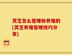 灵芝怎么管理和养殖的(灵芝养殖管理技巧分享)