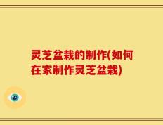 灵芝盆栽的制作(如何在家制作灵芝盆栽)