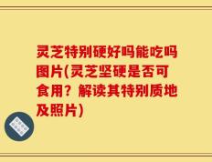 灵芝特别硬好吗能吃吗图片(灵芝坚硬是否可食用？解读其特别质地及照片)