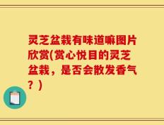 灵芝盆栽有味道嘛图片欣赏(赏心悦目的灵芝盆栽，是否会散发香气？)