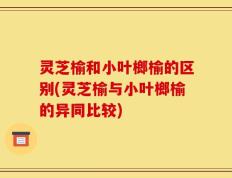 灵芝榆和小叶榔榆的区别(灵芝榆与小叶榔榆的异同比较)