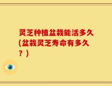 灵芝种植盆栽能活多久(盆栽灵芝寿命有多久？)