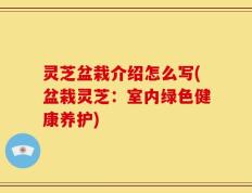 灵芝盆栽介绍怎么写(盆栽灵芝：室内绿色健康养护)