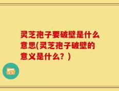 灵芝孢子要破壁是什么意思(灵芝孢子破壁的意义是什么？)