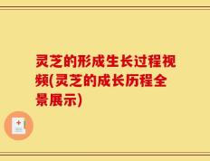 灵芝的形成生长过程视频(灵芝的成长历程全景展示)