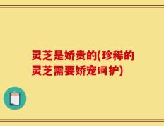 灵芝是娇贵的(珍稀的灵芝需要娇宠呵护)