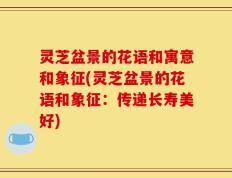 灵芝盆景的花语和寓意和象征(灵芝盆景的花语和象征：传递长寿美好)