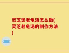 灵芝煲老龟汤怎么做(灵芝老龟汤的制作方法)
